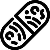 ЭНЗИМ фильтр
